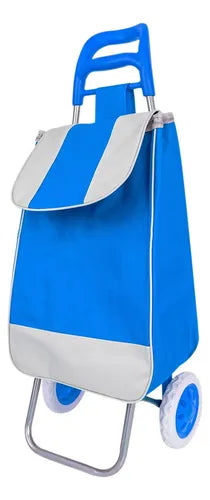 Carretilla de compras