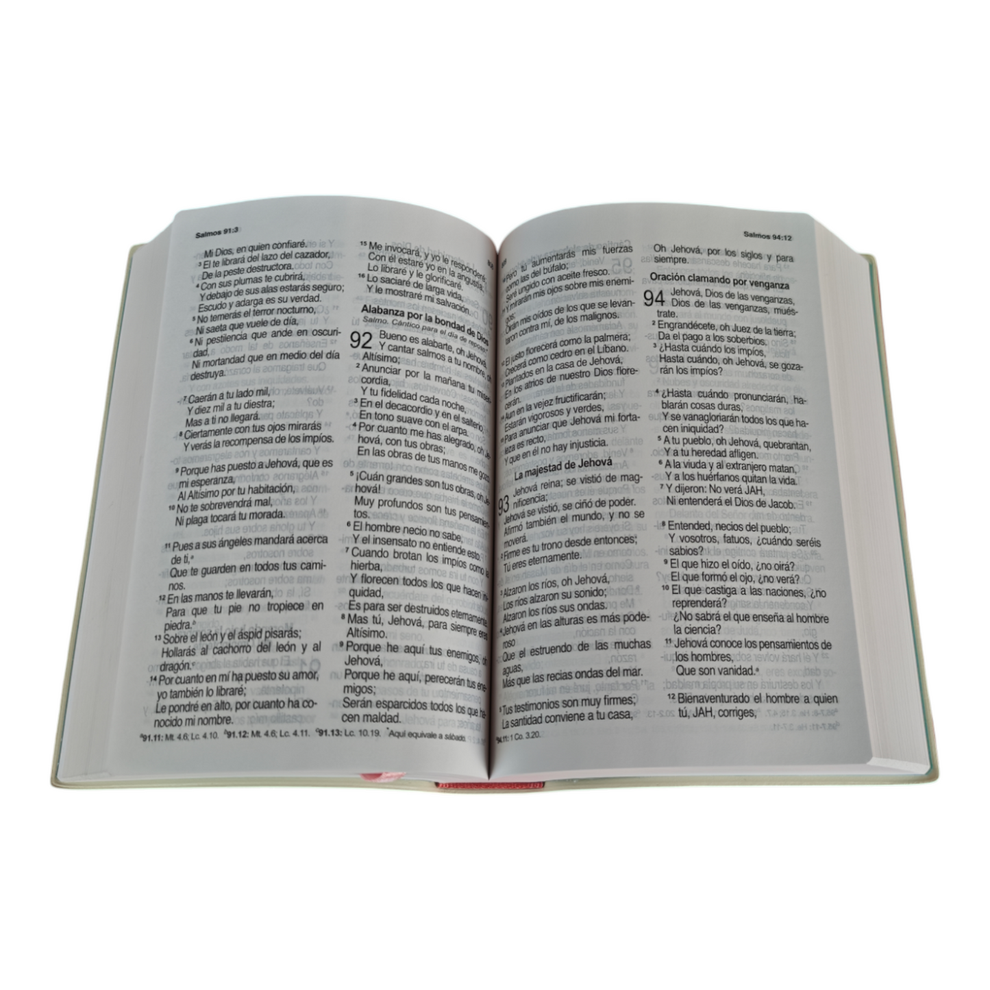 Biblia inspiración mujer