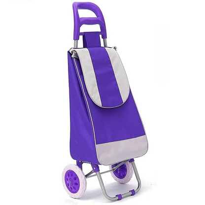 Carretilla de compras