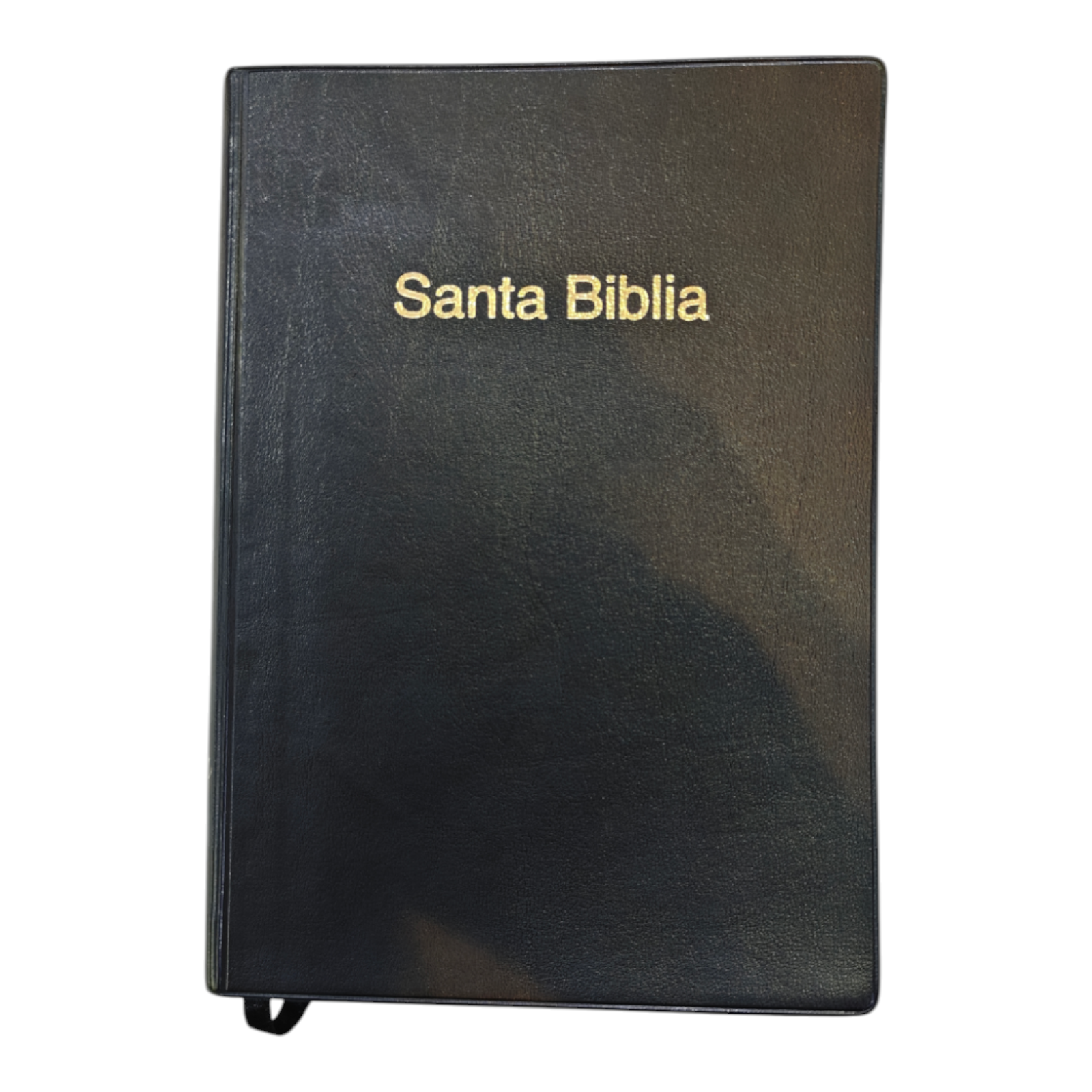 Biblia inspiración