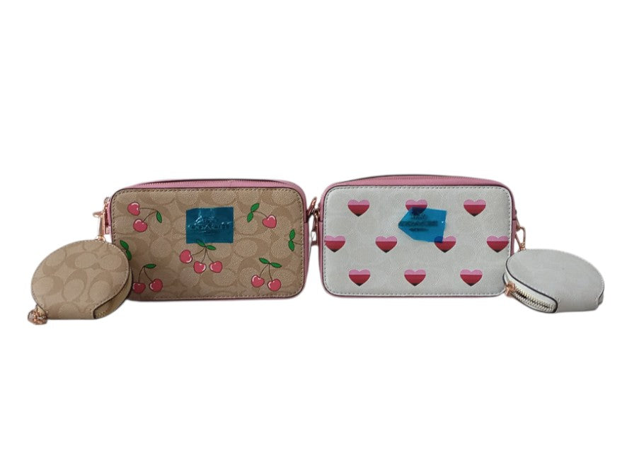 CARTERA COACH/CH0950