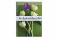 Biblia Verdadera identidad