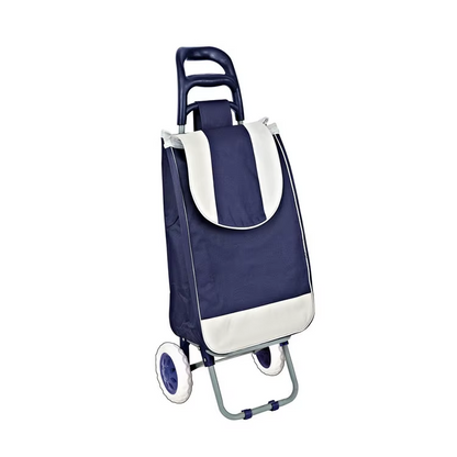 Carretilla de compras