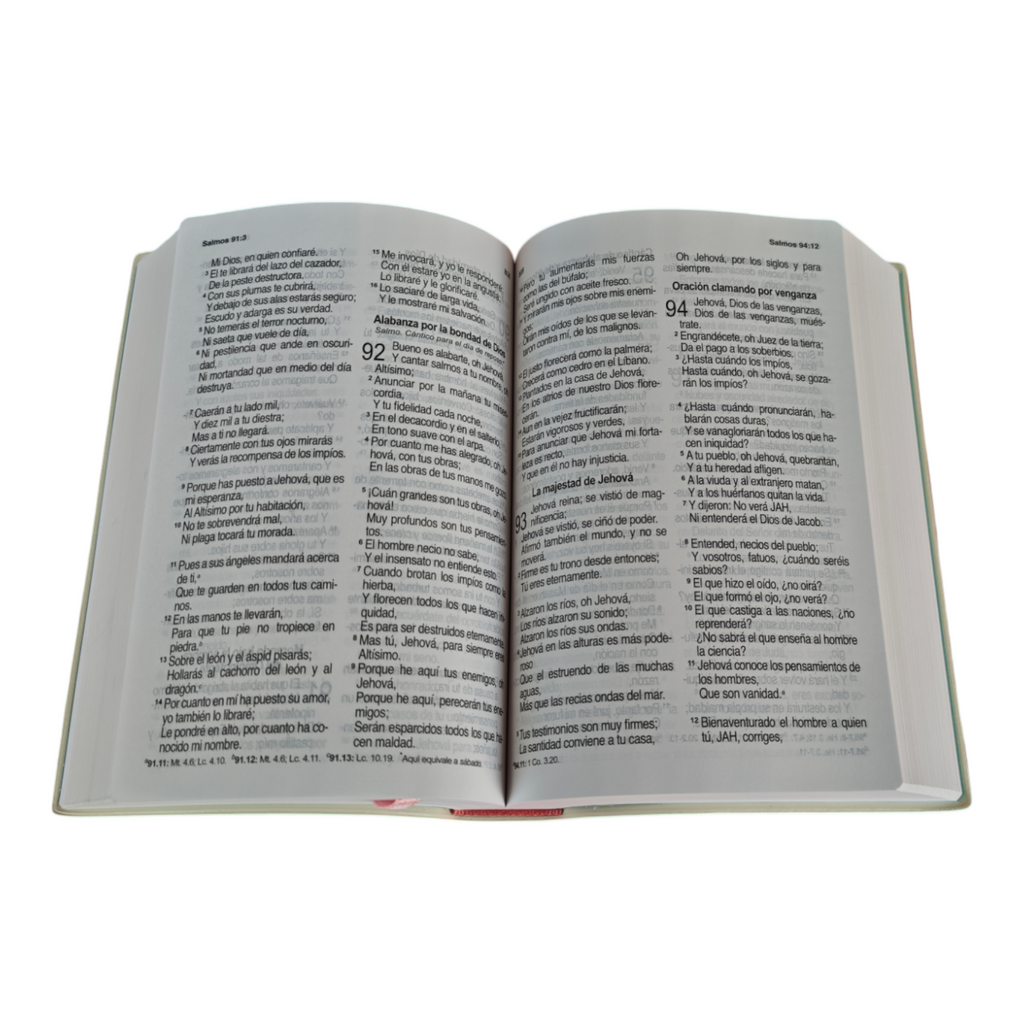 Biblia inspiración mujer