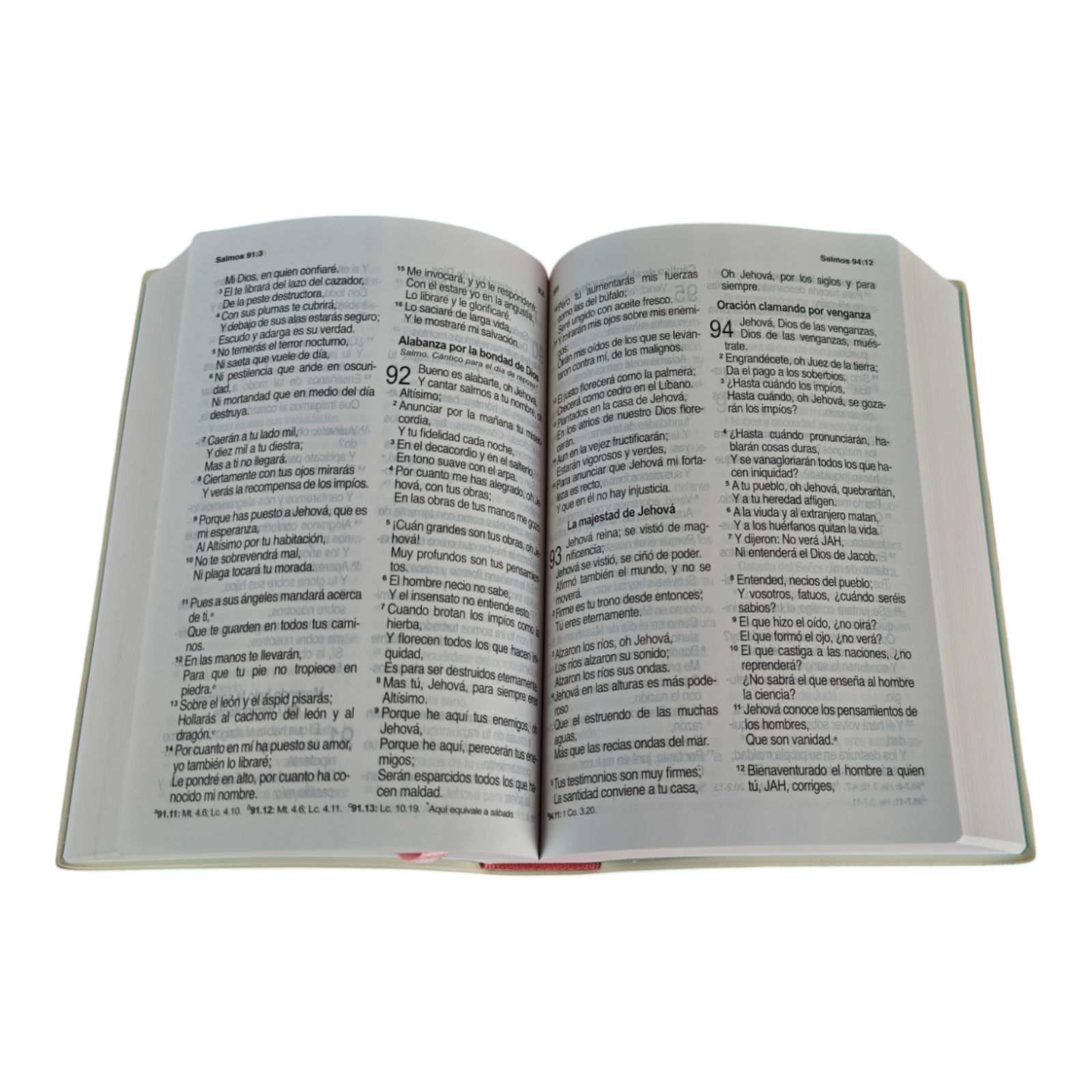 Biblia inspiración mujer