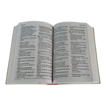 Biblia inspiración mujer