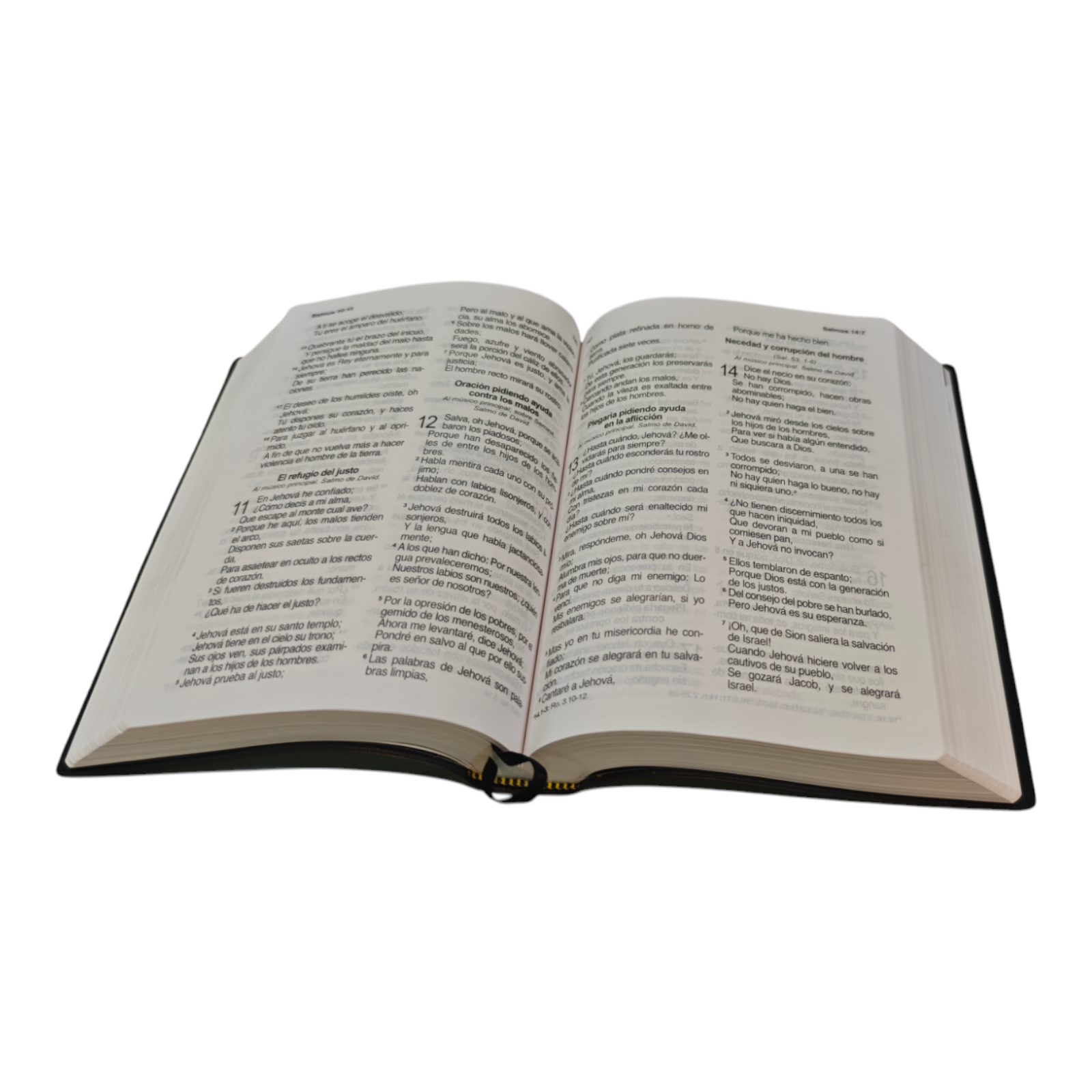 Biblia inspiración