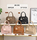 CARTERA COACH P/D.  AB-250
