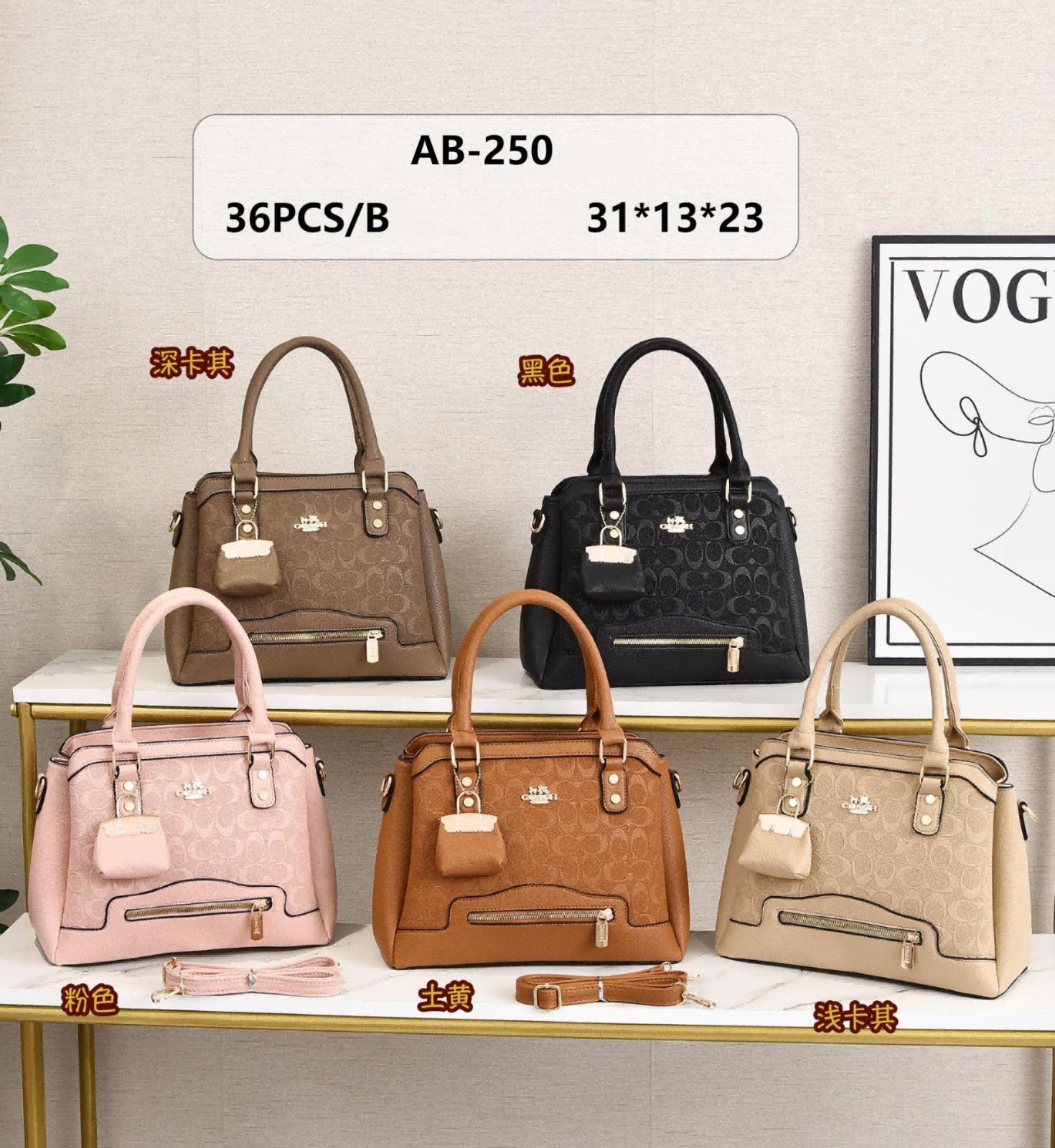 CARTERA COACH P/D.  AB-250