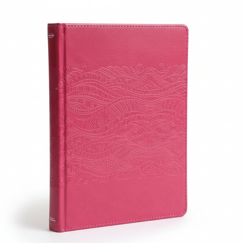 Biblia de apuntes ilustrada